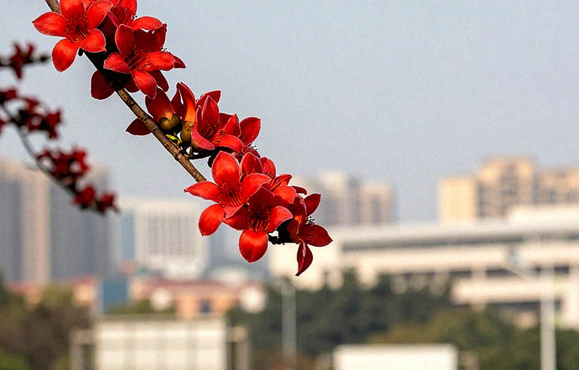 Cần Giờ 42 km: Khi một giải chạy cộng đồng được đo bằng dữ liệu, không bằng hào quang